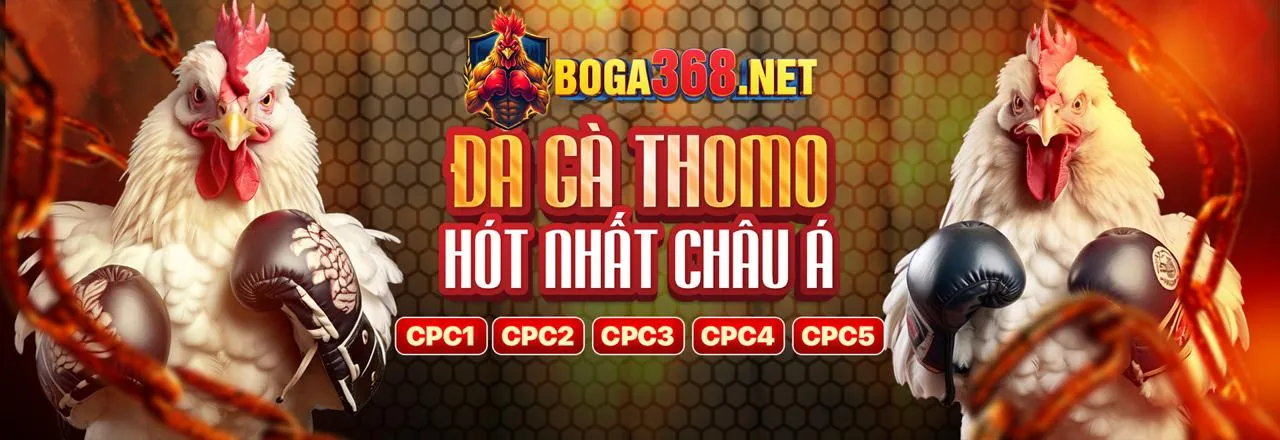 Đá gà trực tuyến kịch tính tại macao99 club